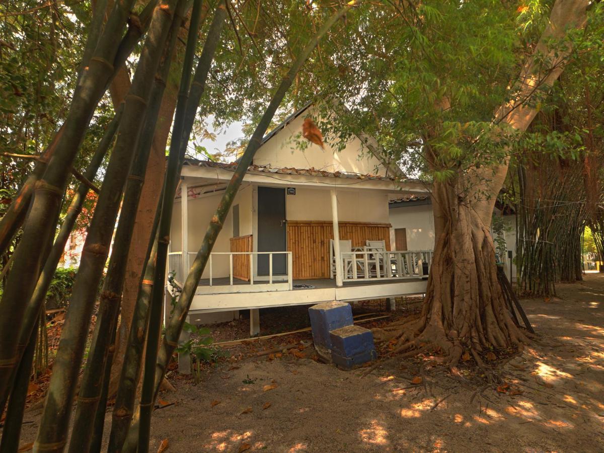 Asia Blue - Beach Hostel Hacienda Ko Pha Ngan Bagian luar foto